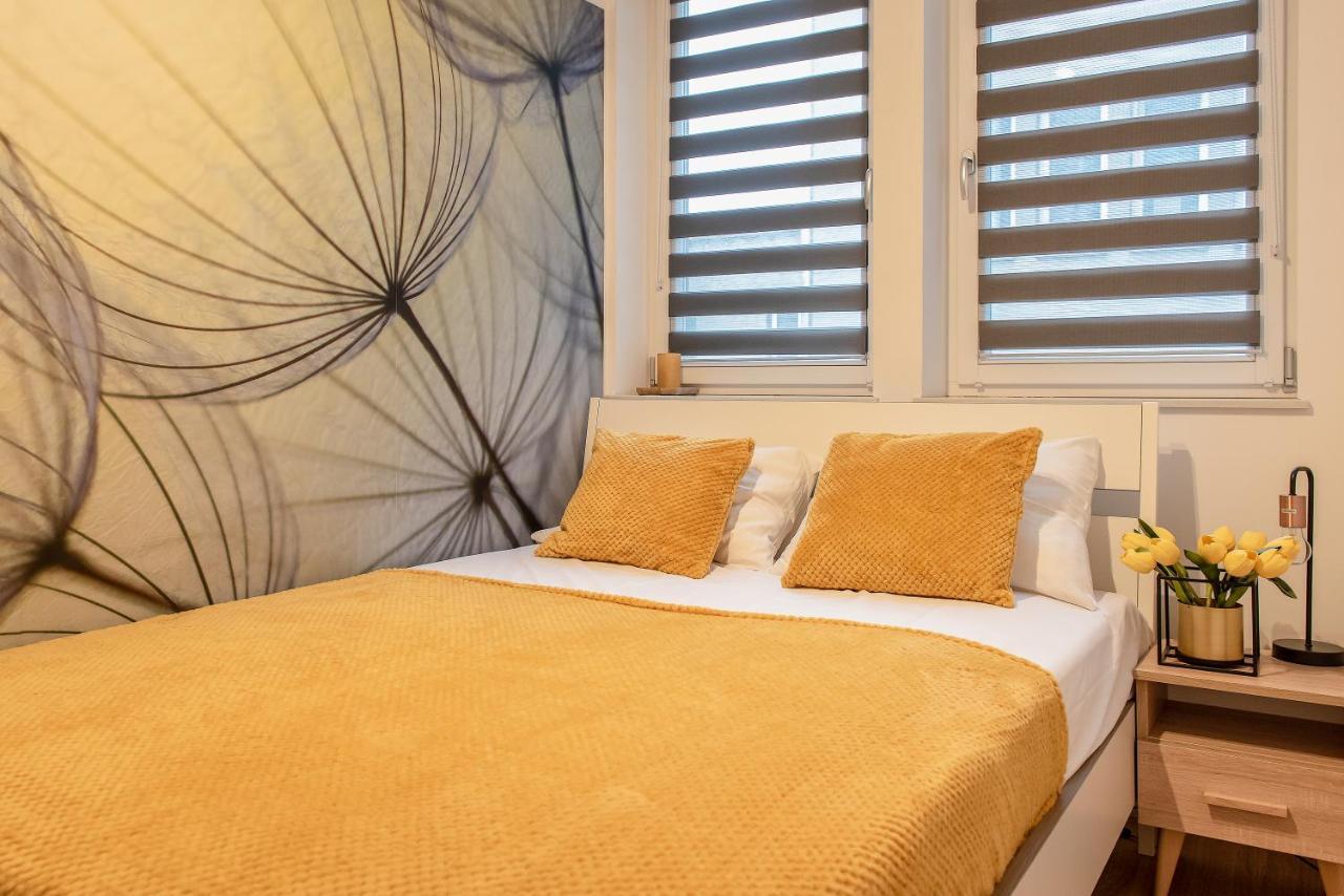 3d Kosciuszki 19 Apartamento